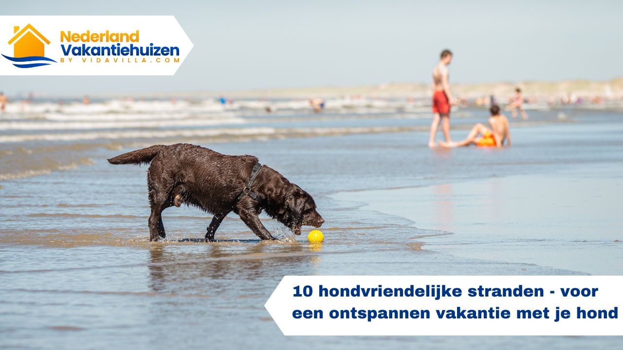 10 hondvriendelijke stranden in Nederland