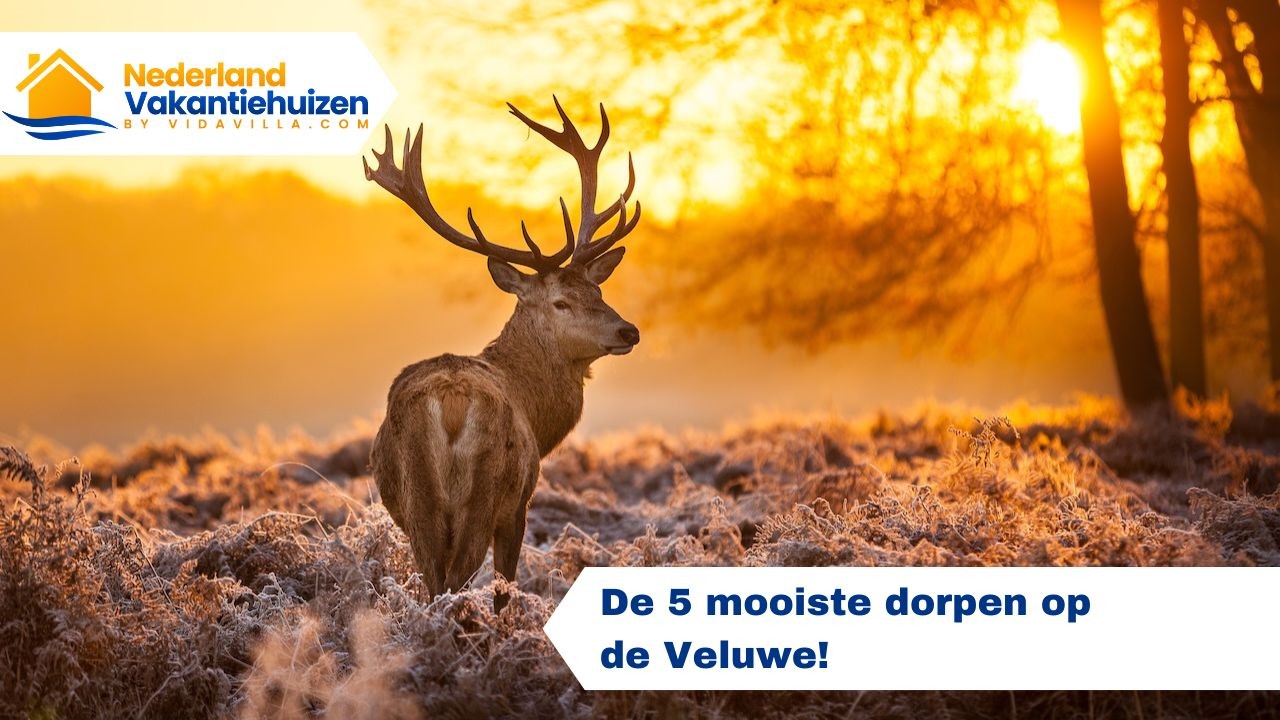 De 5 mooiste dorpen op de Veluwe