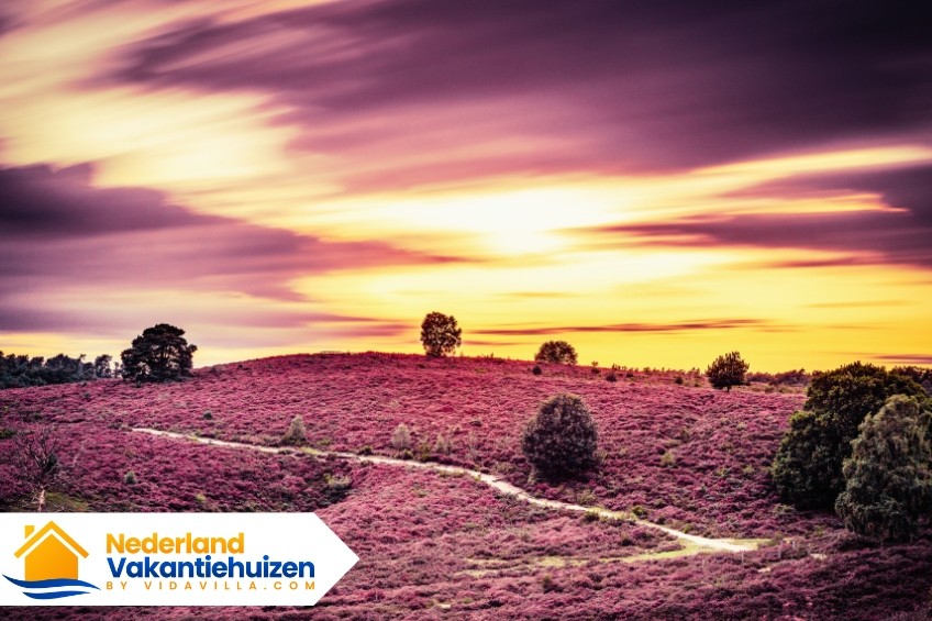 Top 10 bezienswaardigheden in Gelderland – vanuit je vakantiehuis