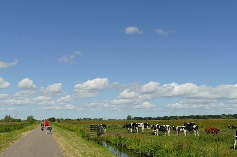 De Maas bij Maastricht