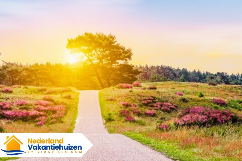 Het goede vakantiehuis met kinderen vinden - hoe doe je dat?